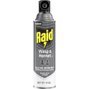 Raid Wasp & Hornet Killer Spray, Bug Killer Kills the Entire Nest, 14 Oz, 2 Count(14 Fl Oz (Pack of 12))